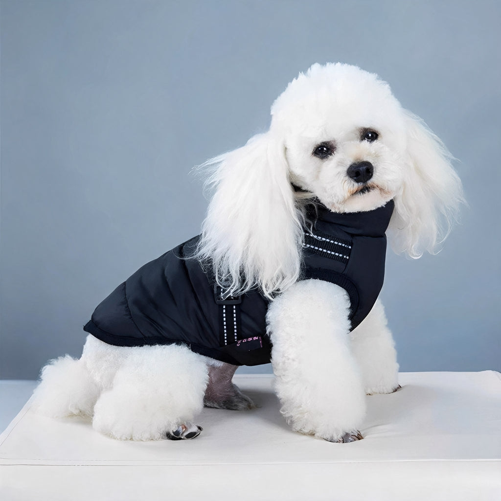 Waterproof Dog Winter Coat – Padded Jacket with Built-In Harness, XS to 5XL - image 4