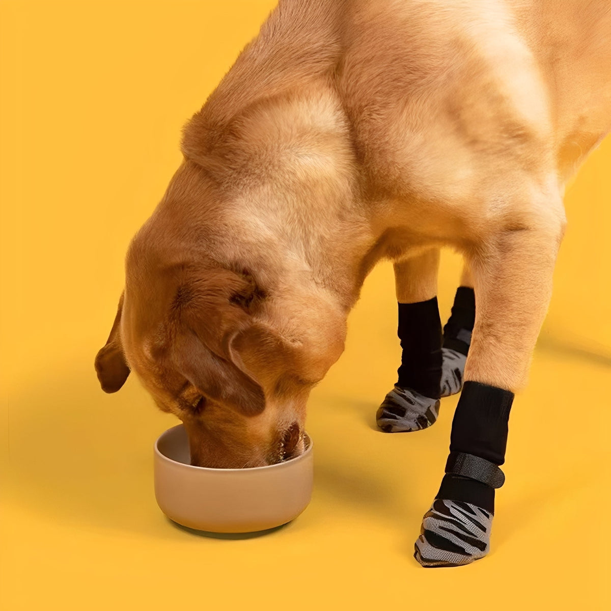 Non-Slip Dog Socks – Set of Four Grip Socks with Adjustable Straps - image 2