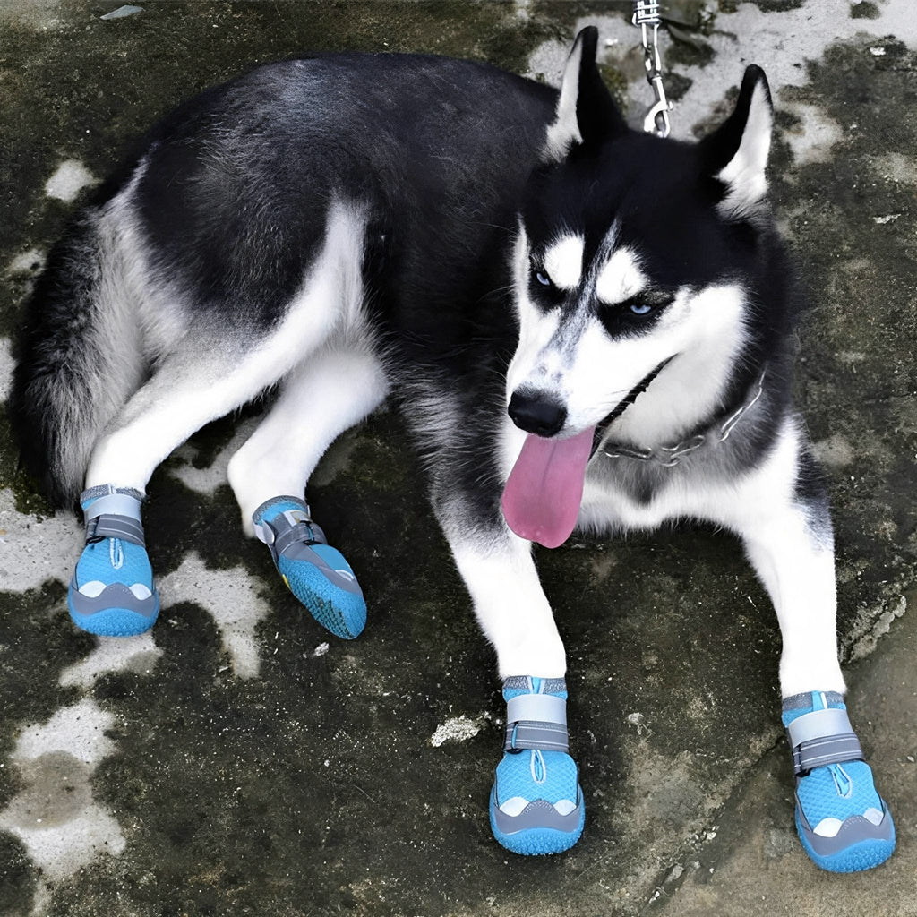 Waterproof Dog Boots – Non-Slip Paw Protection for Hot & Icy Ground, Set of Four - image 2