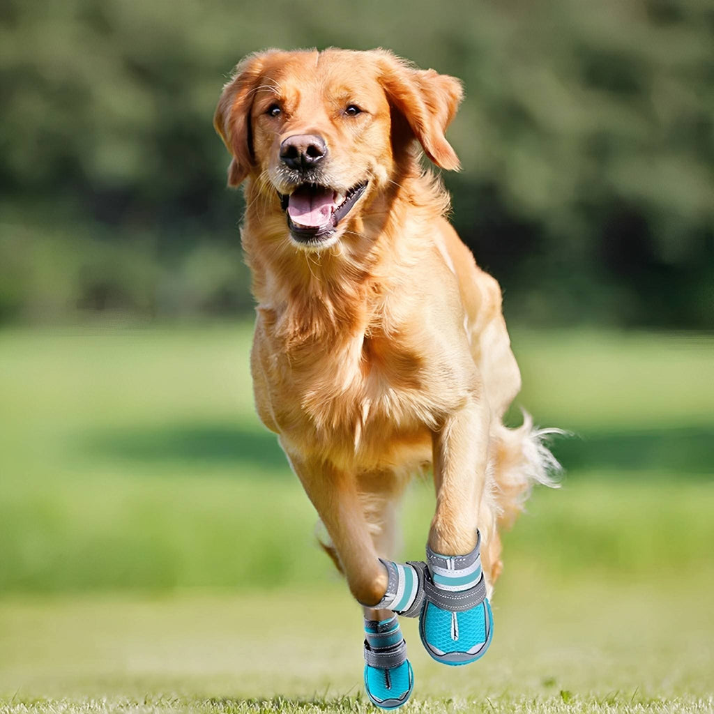 Waterproof Dog Boots – Non-Slip Paw Protection for Hot & Icy Ground, Set of Four - image 3