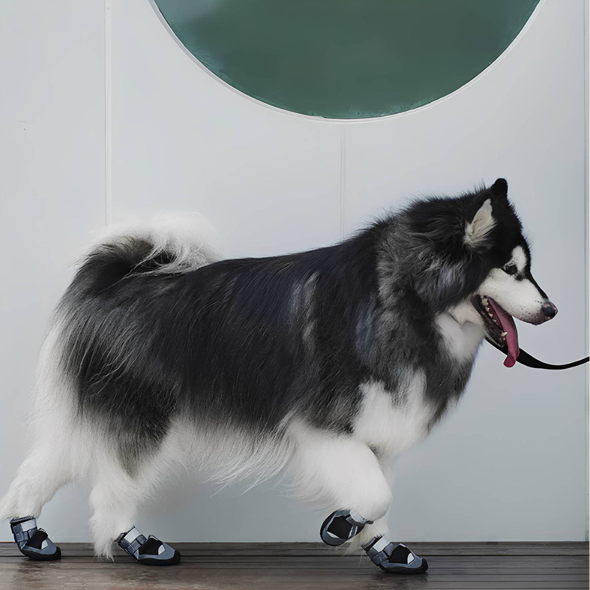 Waterproof Dog Boots – Non-Slip Paw Protection for Hot & Icy Ground, Set of Four - image 4