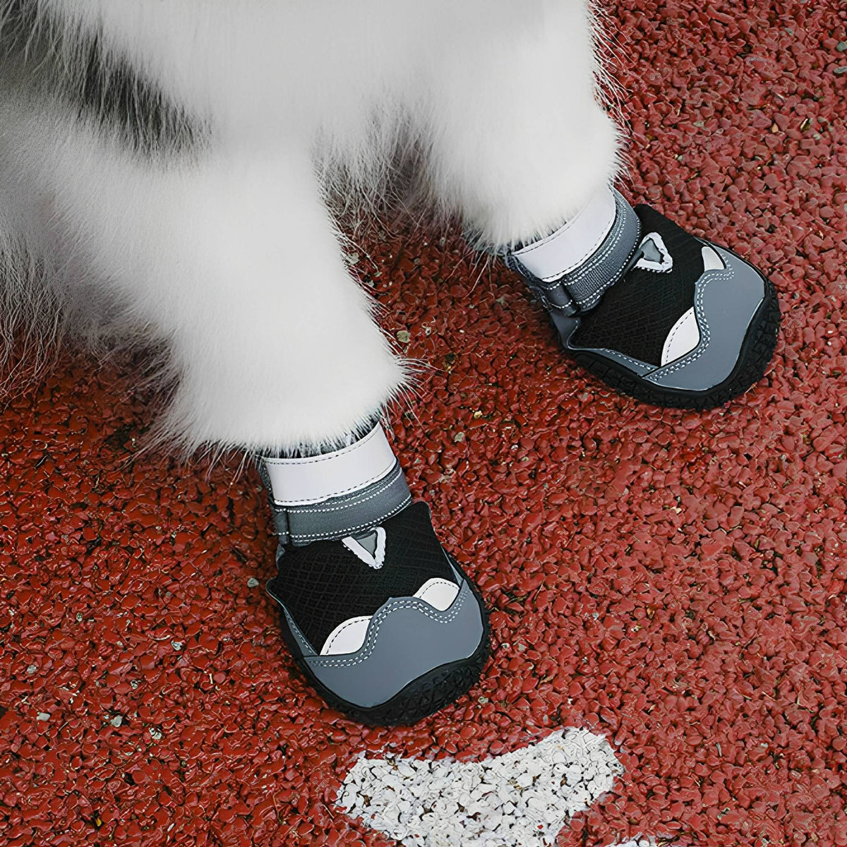 Waterproof Dog Boots – Non-Slip Paw Protection for Hot & Icy Ground, Set of Four - image 5