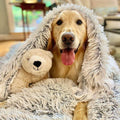 Fluffy Pet Blanket – Long-Pile Faux Fur Throw for Dogs & Cats, Four Sizes - image 1