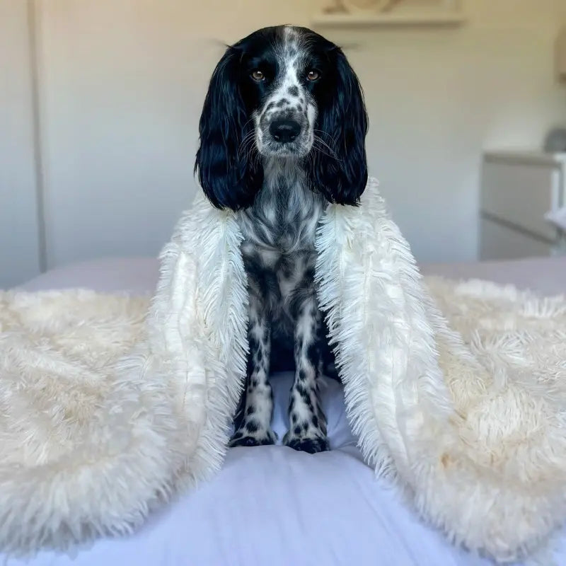 Fluffy Pet Blanket – Long-Pile Faux Fur Throw for Dogs & Cats, Four Sizes - image 3