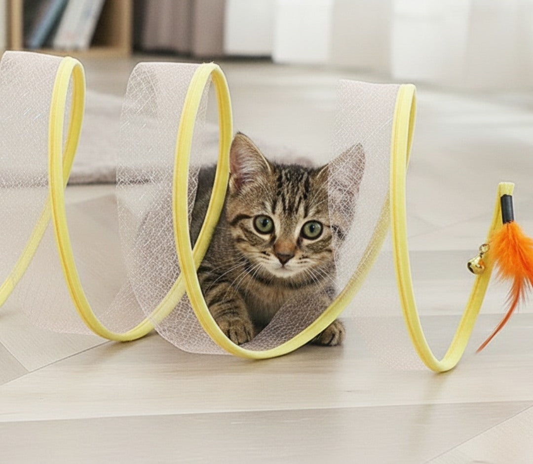 Collapsible Cat Tunnel – Mesh Play Tunnel with Feather Toys & Sisal Balls - image 3