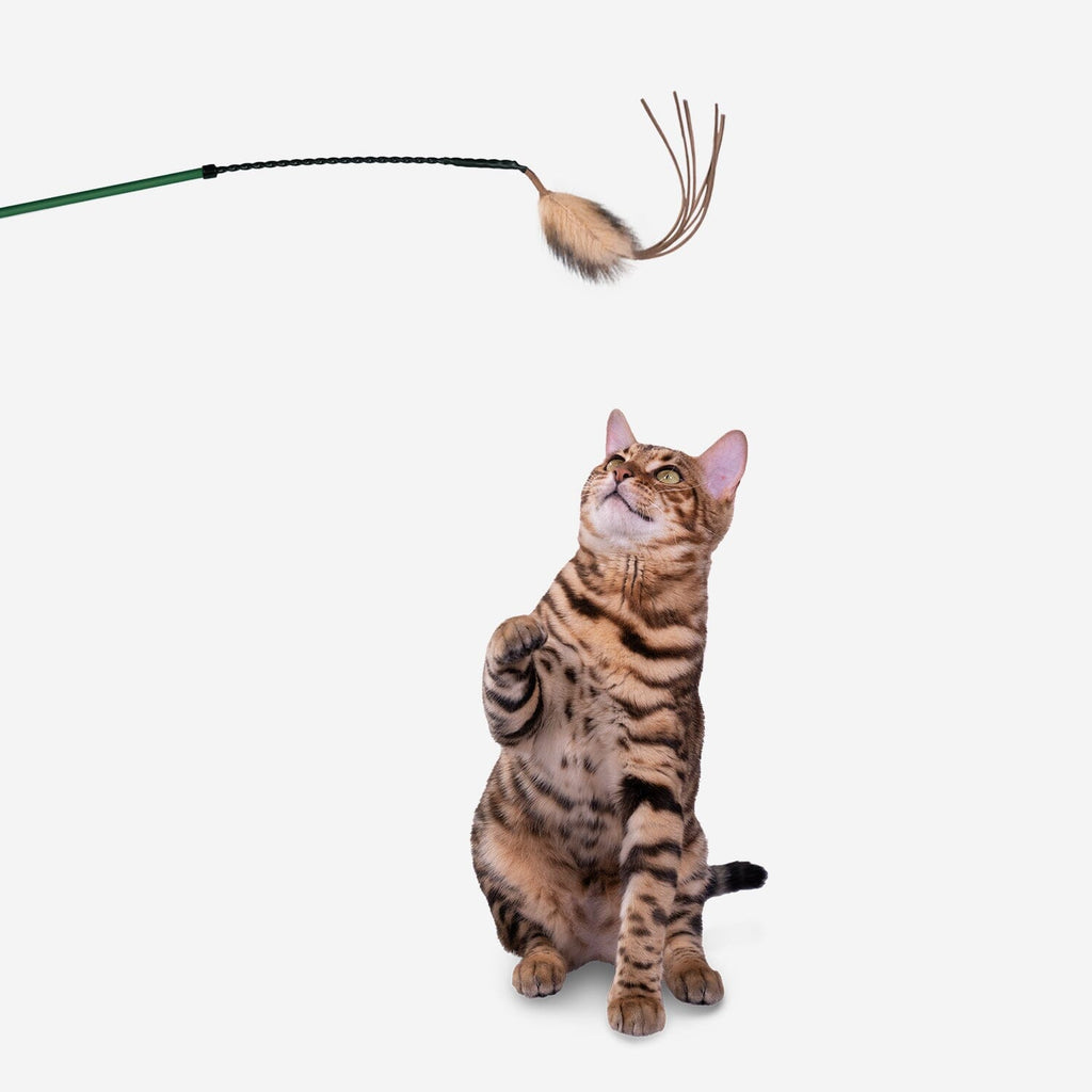 Cat Teaser Wand with Laser Pointer – Feather-Tipped Wand for Indoor Play - image 1